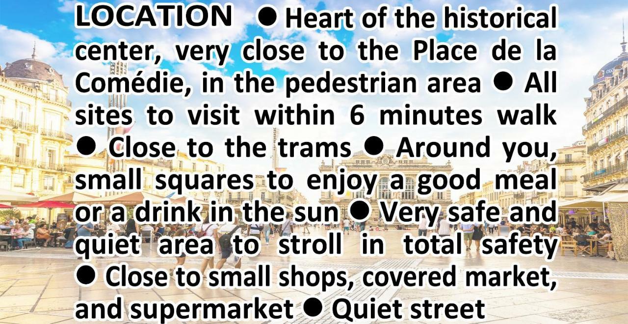 Comedie Musee-Fabre Parking Offert Climatisation Apartment Montpellier Ngoại thất bức ảnh